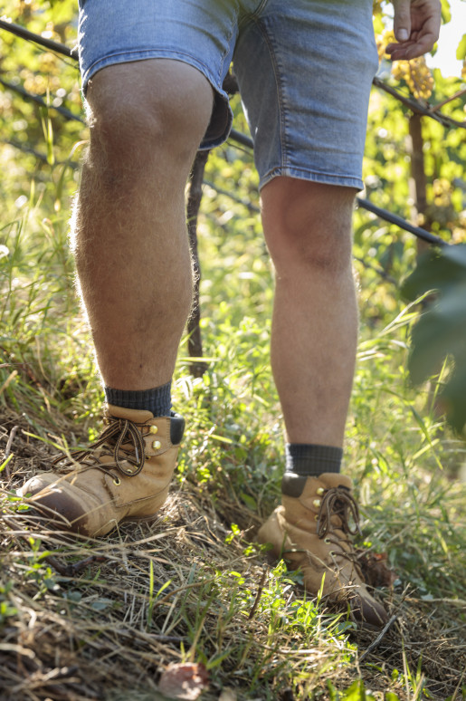 Use storytelling to differentiate your winery from competitors